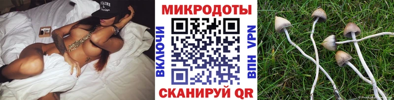 Галлюциногенные грибы Cubensis  Щёлково 